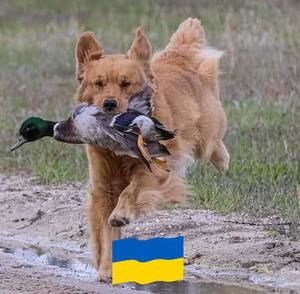 Meet your Posher, Eileen